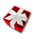 206 Tours Gift Certificate