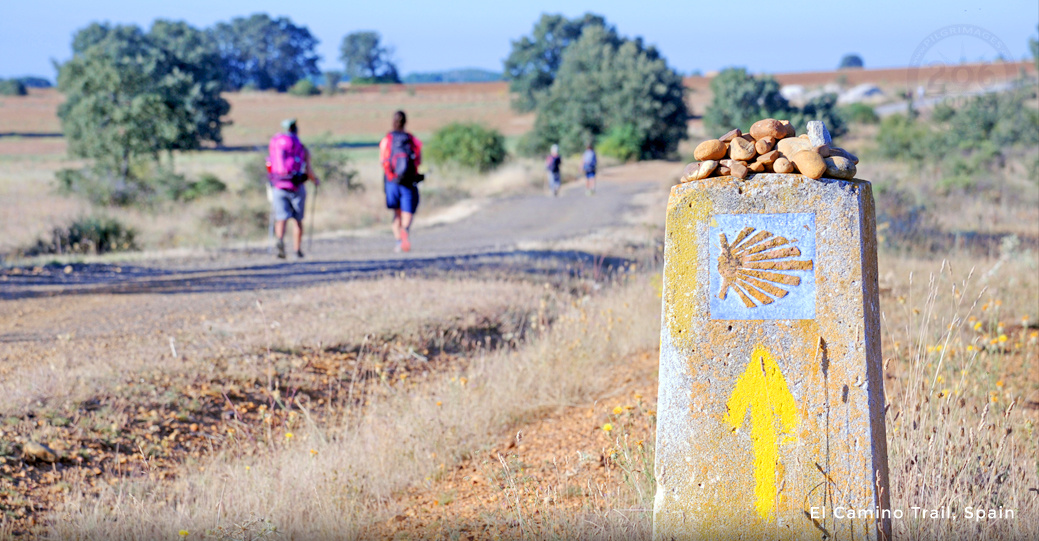 el camino pilgrimage tours