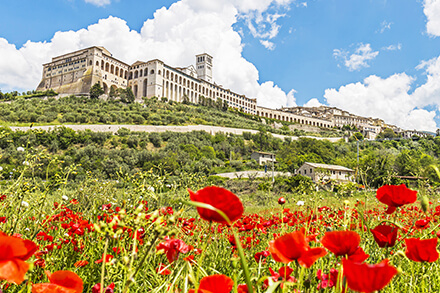 tours from rome to assisi