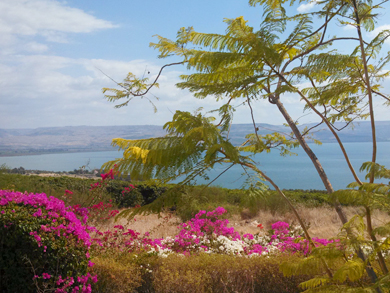 Holy Land Pilgrimage Tour